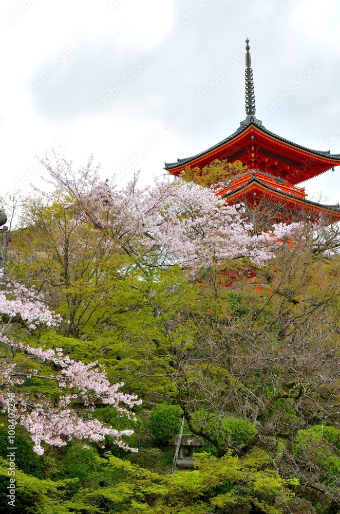Obraz premium 京都 清水寺三重塔