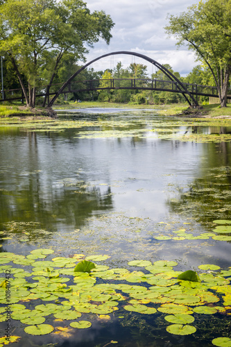 Pond and Bridge