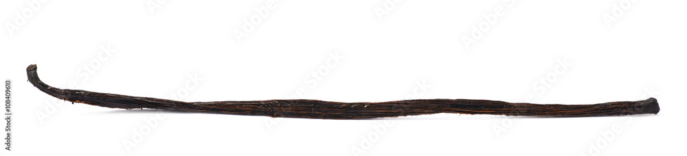 Dried vanilla pod fruit isolated Dried vanilla pod fruit isolated
