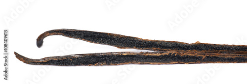 Dried vanilla pod fruit isolated