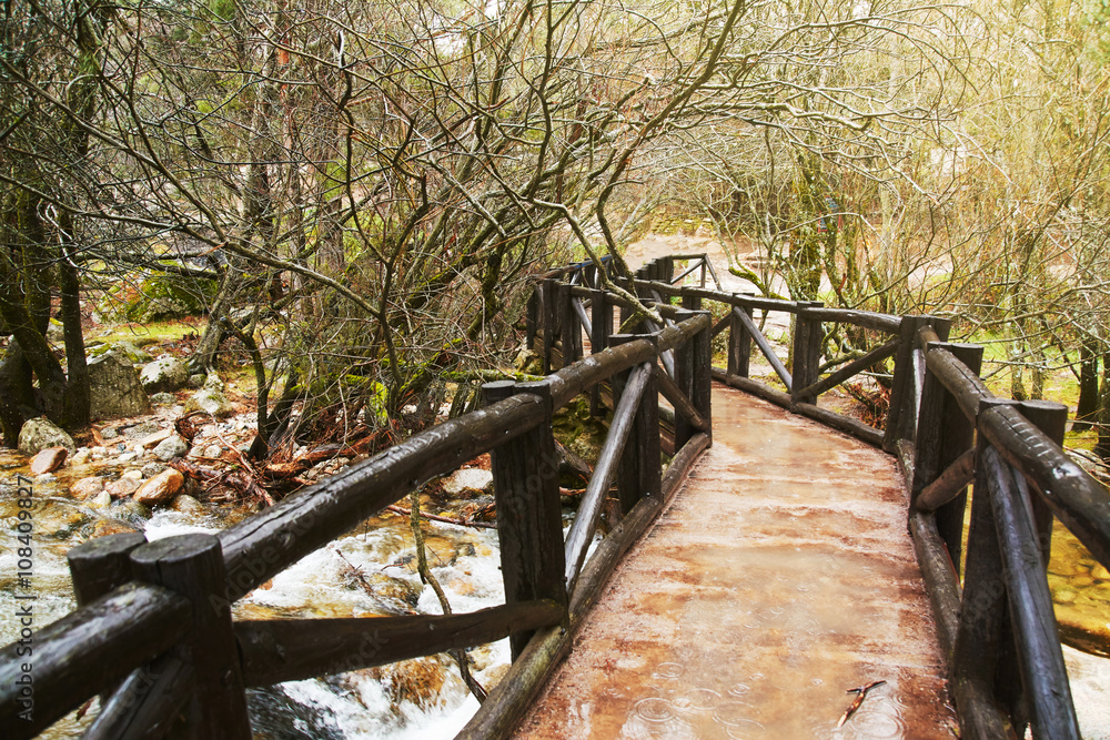 Fototapeta premium wooden bridge over the river, on forested