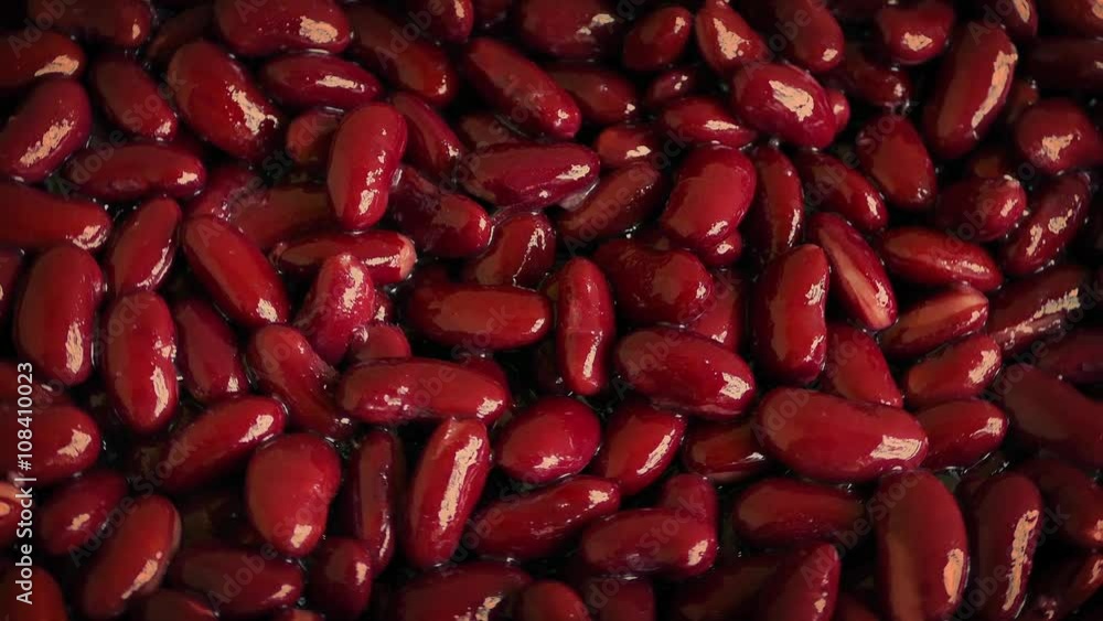 Red Kidney Beans Rotating Red Kidney Beans Rotating