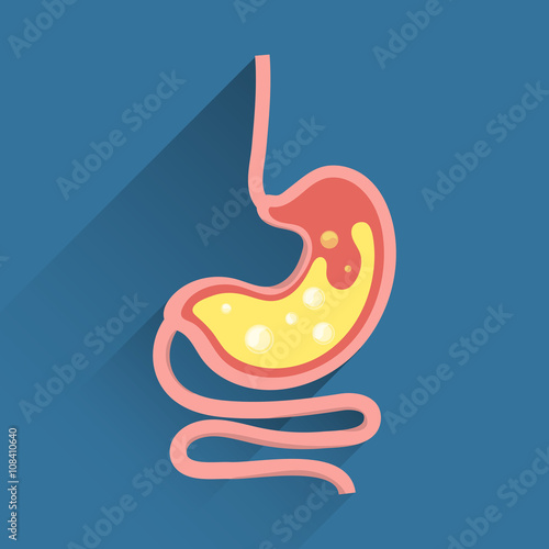 Flat design stomach icon graphic with long shadow