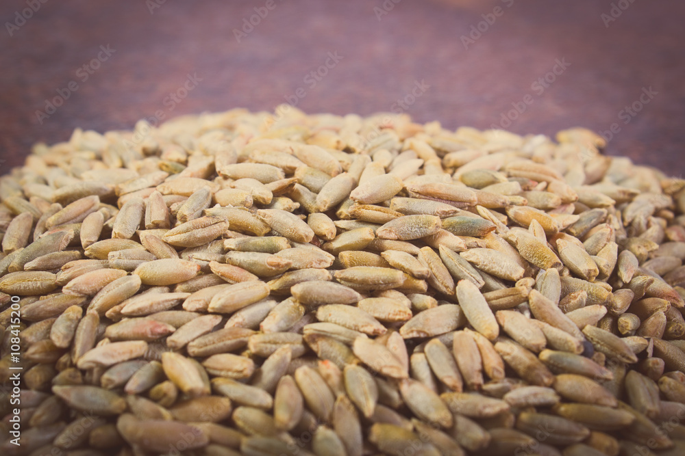 Obraz premium Vintage photo, Heap of organic rye grain