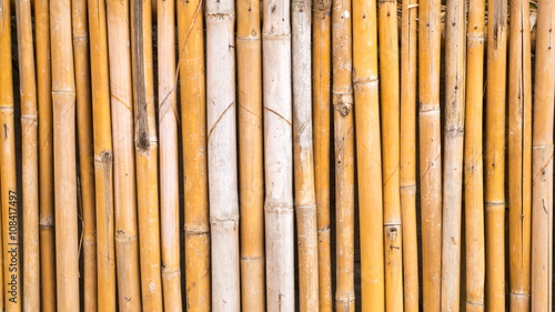 old bamboo