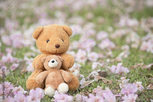 Brown Bear Texture background.