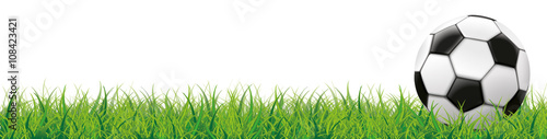 Naklejka Piłka nożna na zielonej trawie nagłówka