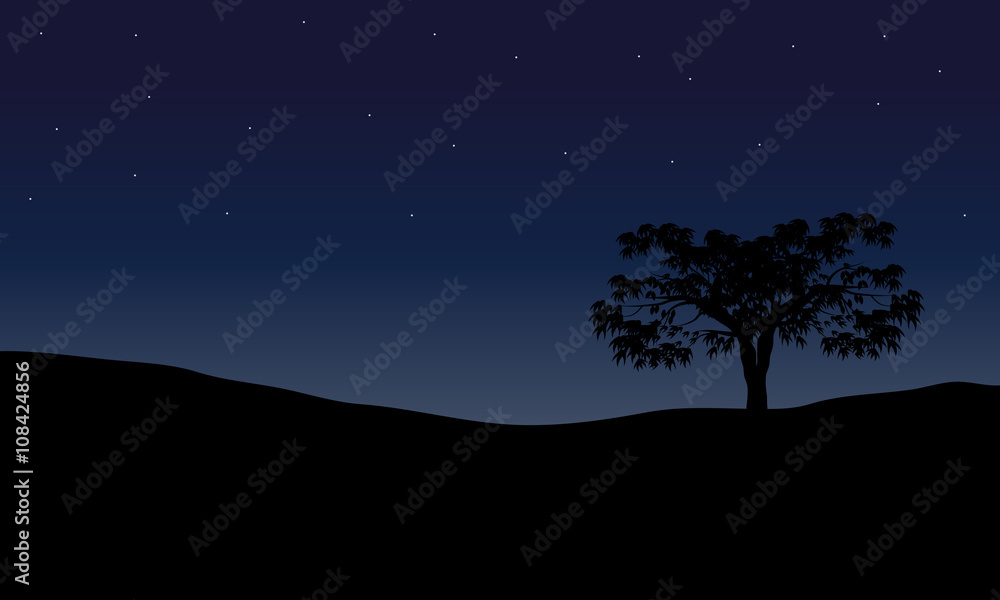 Tree in night scenery Tree in night scenery