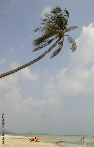 Beach view