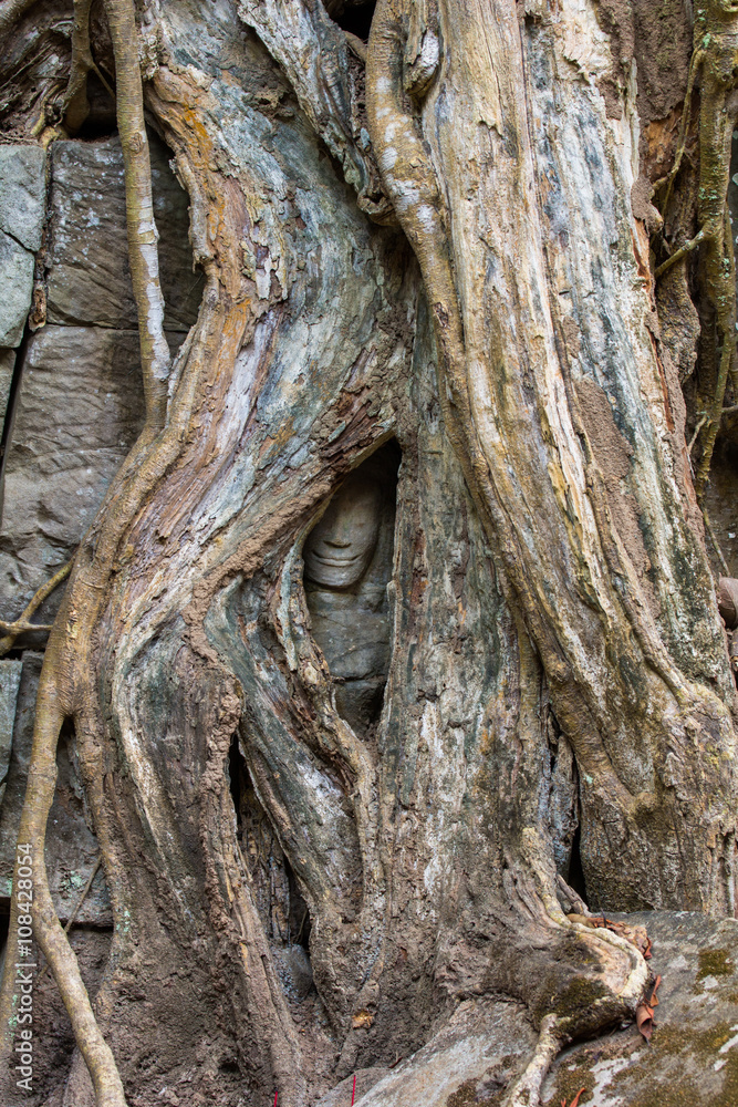 Ta Prohm Hidden Face insde tree