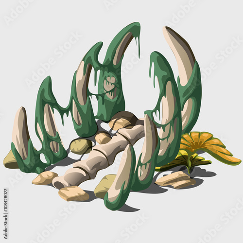 Ancient bones of spine an unknown animal