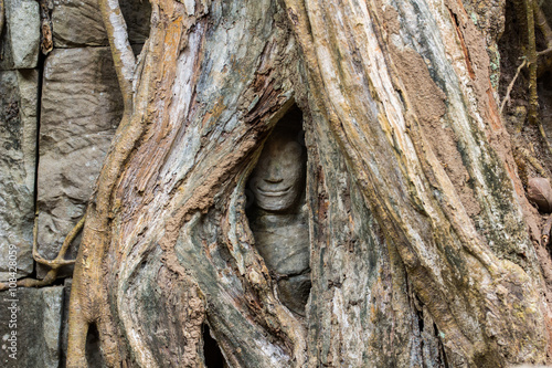 Ta Prohm Hidden Face insde tree photo