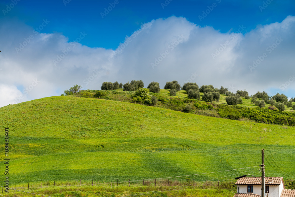 Obraz premium Colourful hills of Tuscany in spring season