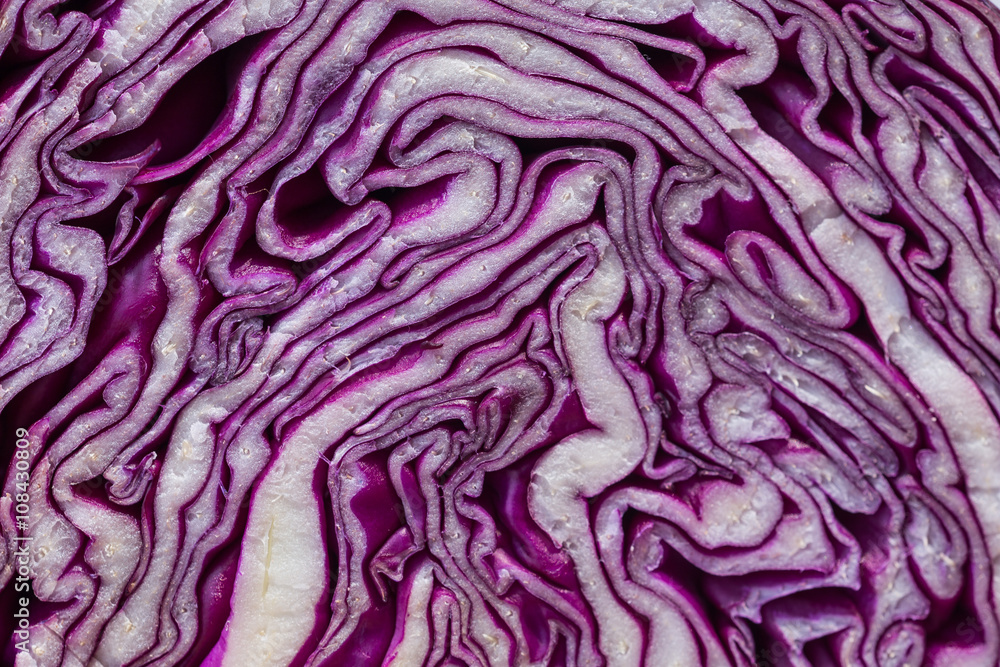 Obraz premium Close-up of halved red cabbage