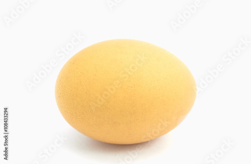 Egg in white background