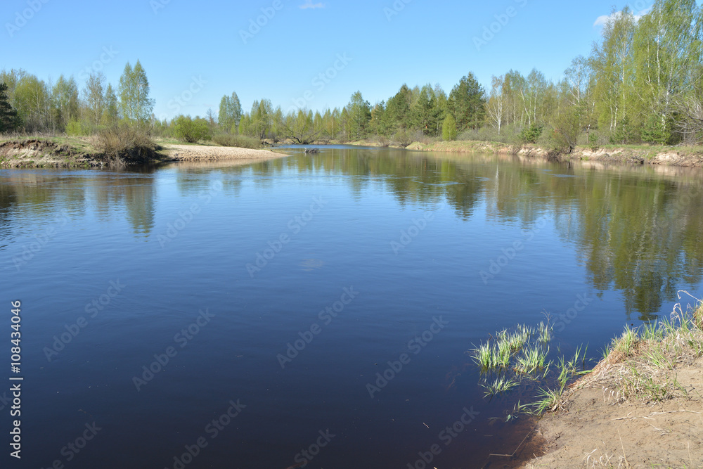 Fototapeta premium The beginning of may on a protected river.