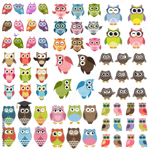 Owls and owlets set