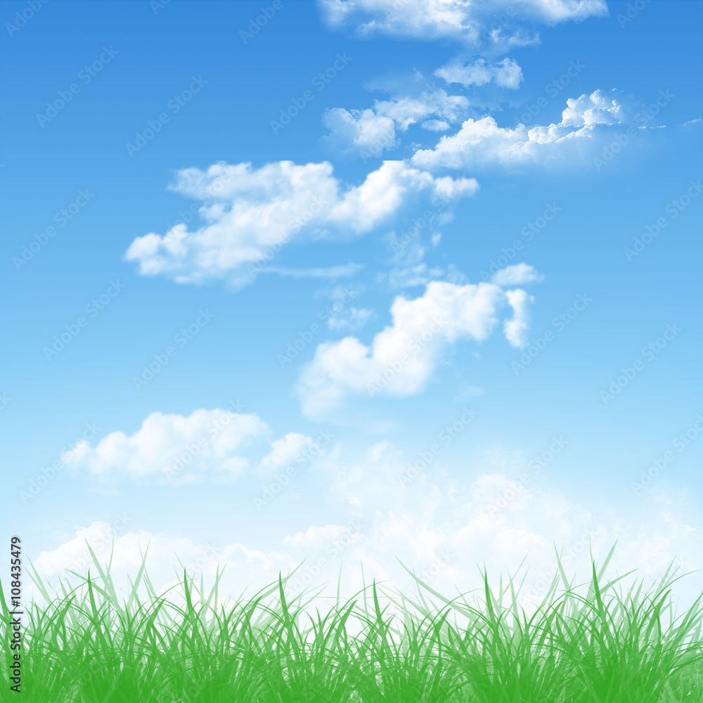 clouds on the sky with green grass