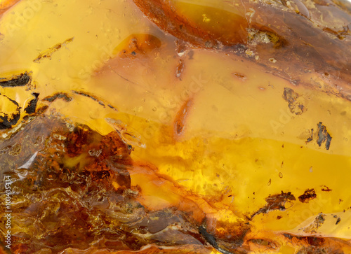 Baltic amber  resin segments background or texture