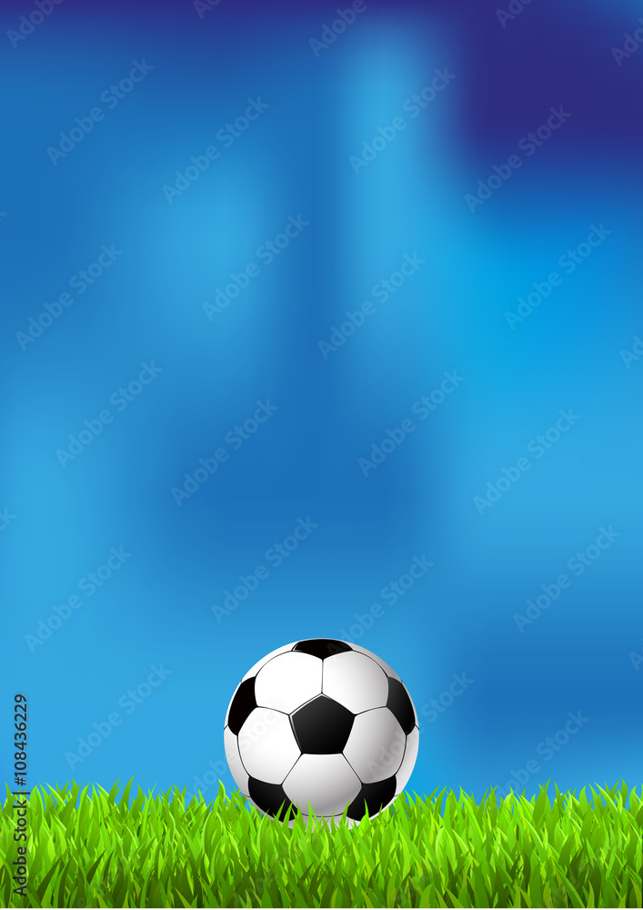 Fototapeta premium Piłka nożna