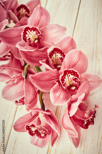 Fototapeta Naklejka Na Ścianę i Meble -  Orchid flowers