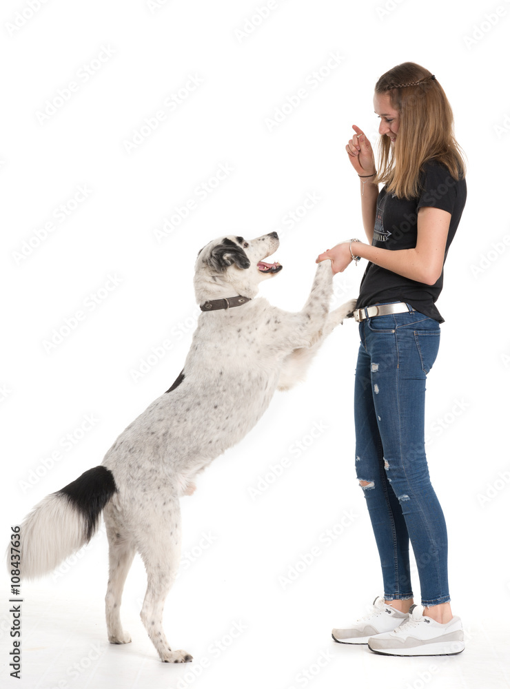 Foto Stock Hund springt an einem Mädchen hoch gib Pfötchen gib Pfote Adobe Stock