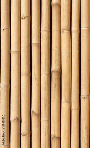 bamboo texture background