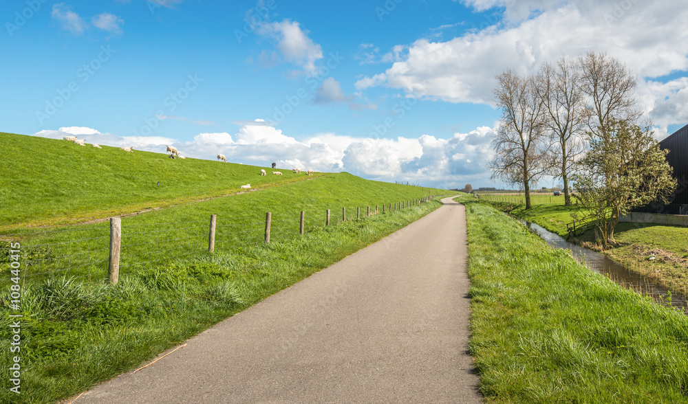 Typical Dutch landscape in springtime