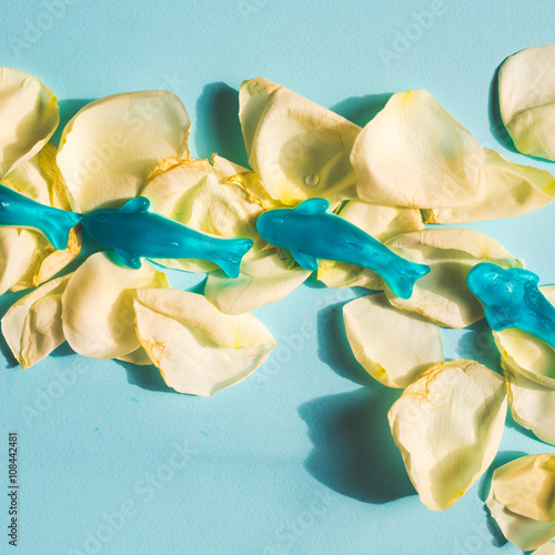 set of candy dolphins swimming on white rose petals- abstract concept photo