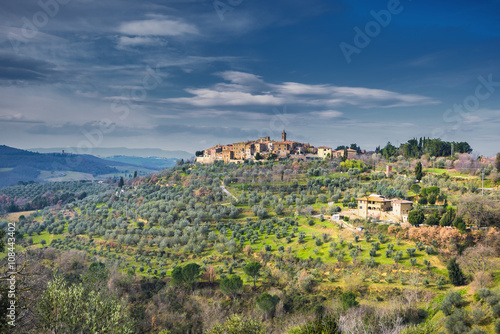 Ancient town on a hill with olive trees, Castelmuzio.