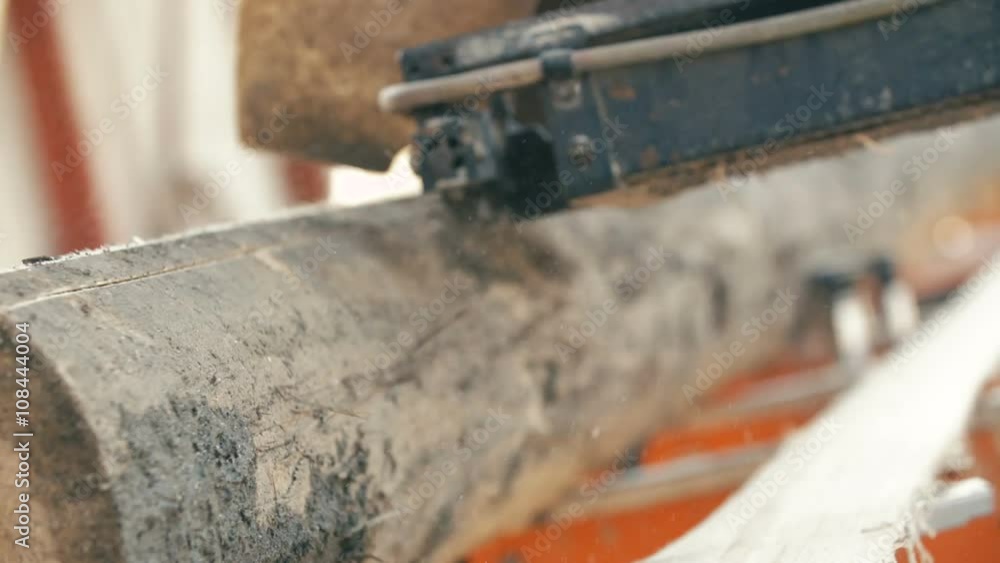 wood cutting machine board log in a sawmill wood cutting machine board log in a sawmill
