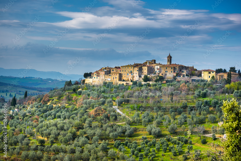 Ancient town on a hill with olive trees, Castelmuzio.