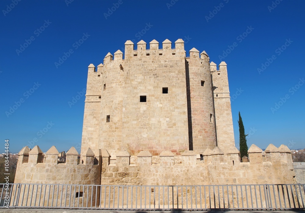 Calahorra tower (Torre de la Calahorra) near the Roman Bridge in Cordoba, Andalusia, Spain
