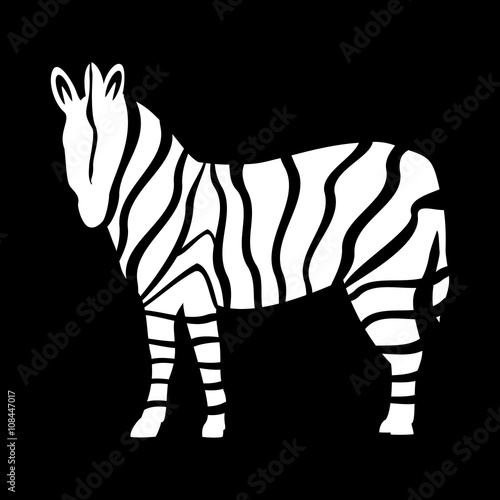 zebra