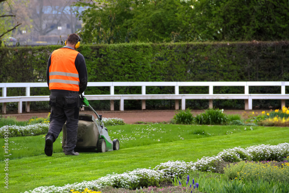 Landschaftsgärtner mäht Rasen im Park StockFoto Adobe Stock