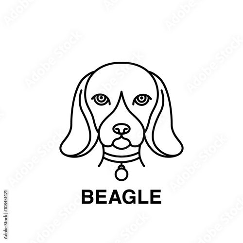 Beagle dog vector illustration made in line art style