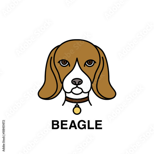 Beagle dog vector illustration made in flat style