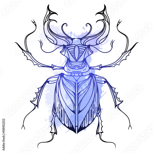 Hand drawn vintage stag beetle with blue watercolor splashes. Insect with doodle pattern. Vector element for tattoo sketch, printing on T-shirts, postcards and your design