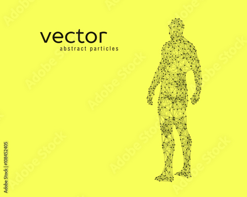 Vector illustration of human body
