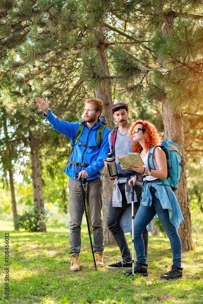 Fototapeta premium Hikers show with arm way through wood.