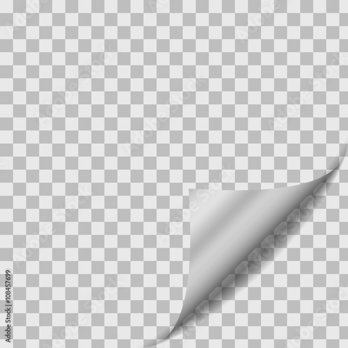 Silver Or Platinum Curled Paper Sheet Corner With Shadow. Design