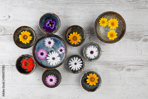 Colorful flowers floating in water in ceramic bowls on rustic wooden table. Top view with copy space.