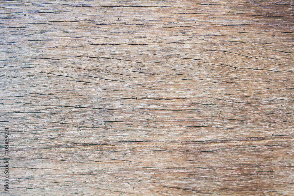The Wood surface The Wood surface