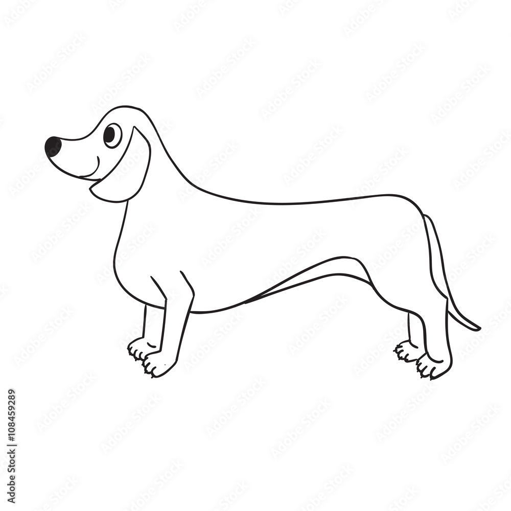 Cute contour dachshund isolated on white background