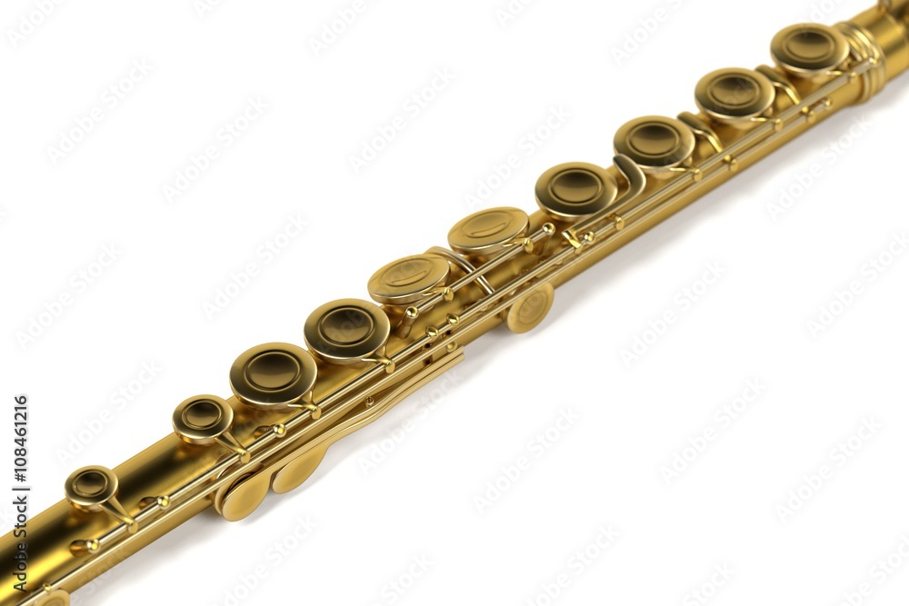Fototapeta premium 3d renderings of flute (musical instrument)