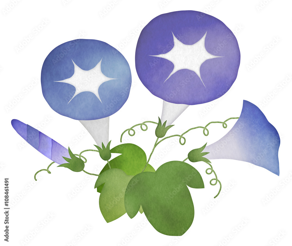 水彩画風 青系朝顔 あさがお のイラスト素材 Stock イラスト Adobe Stock 水彩画風 青系朝顔 あさがお のイラスト素材 Stock イラスト Adobe Stock