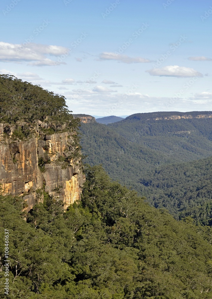  landscape  at the Morton National Park  in the Kangaroo Valley  NSW , Australia