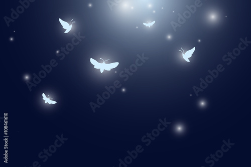 moths flying at night vector