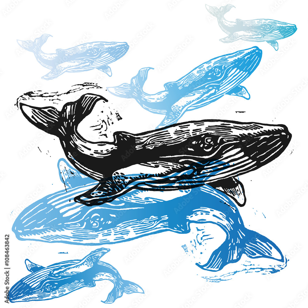 Obraz premium Vector Whale animals in abstract composition.