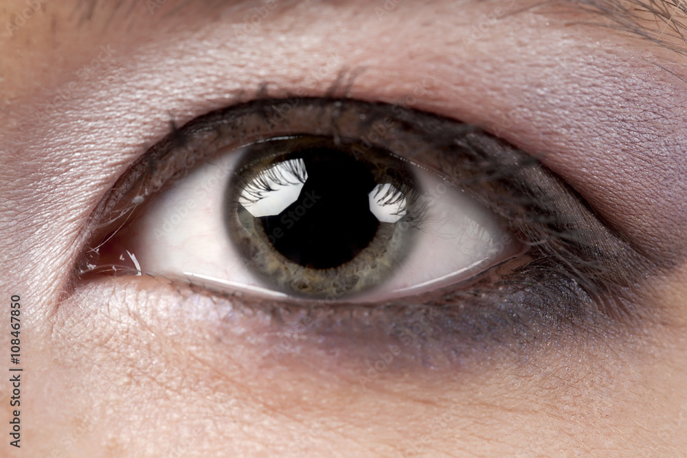 Obraz premium beautiful gray eye